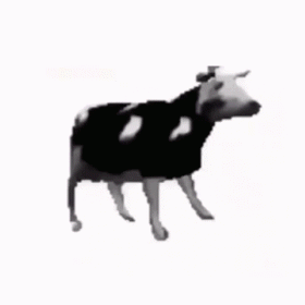 FeralHS